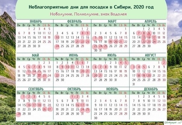 ЛУННЫЙ ПОСЕВНОЙ КАЛЕНДАРЬ 2020