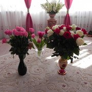 МеЛена