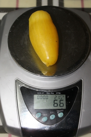 Обзор моих томатов - Желтый банан
