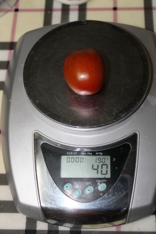 Обзор моих томатов - Де-Барао черный