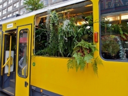 Сад в трамвае