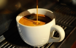 Ученые предрекают исчезновение кофе