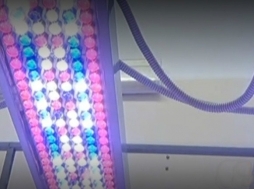 Светодиодные лампы с изменяющимся спектром