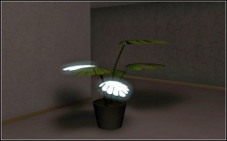 Растение со светящимися листочками