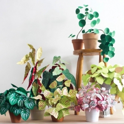 Бумажные растения