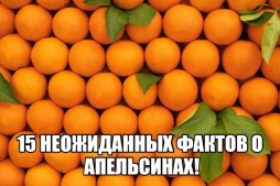 Немного об апельсинах