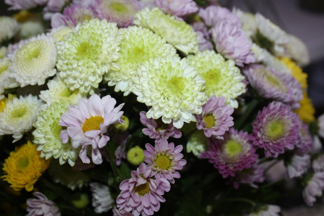 Цветы для букета — названия и фото, какие вырастить на даче или в саду