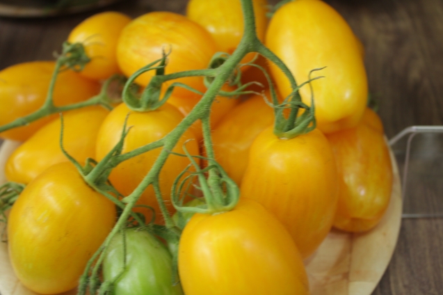 Желтые томаты