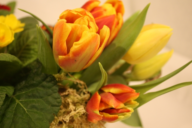 «Аптекарский огород» призывает не дарить цветочных букетов