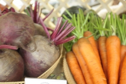 Как вырастить морковь на суглинке – 4 шага до хорошего урожая