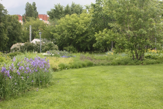 Как превратить газон в произведение искусства - 7 интересных идей