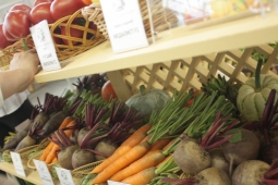 6 типичных проблем, которые могут возникнуть при выращивании моркови