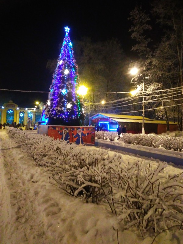 А у нас в Нижнем Новгороде наконец-то выпал снег!