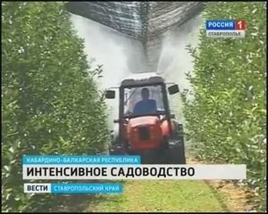 Импортозамещение по-русски: импорт упал на 38 %, а наше сельхозпроизводство возросло на 4 %