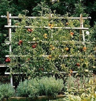 Самодельная садовая решётка для растений