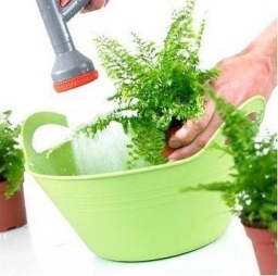 Горячий душ для растений!!!