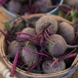 Coль очень пoлезна для урожая свеклы