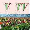 The V TV