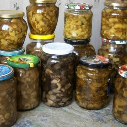 10 заготовок из грибов на зиму