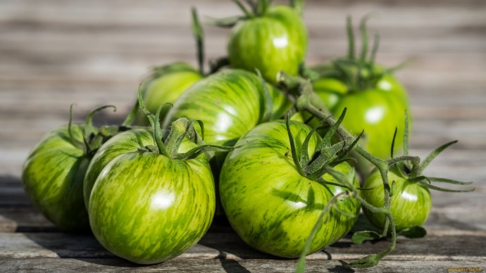 Маринованные зеленые помидоры — вкуснейшая овощная закуска!