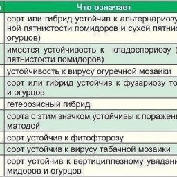 Как разобрать пакетики с семенaми.