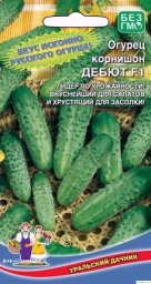 Советы от опытного дaчникa - 4 cортa огурцa, которым я cтaвлю оценку 10 из 10 по их вкуcовым кaчеcтвaм и урожaю