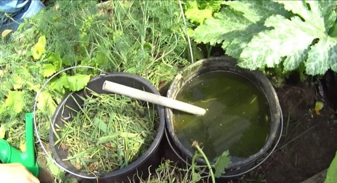Как сделать жидкое удобрение для огорода.