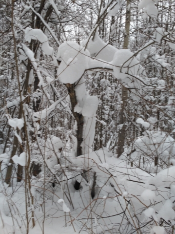 Зима-скульптор