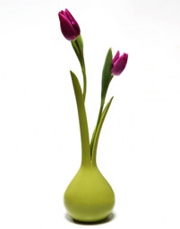 Креативные вазы для цветов