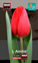 Тюльпан, посвященный миру