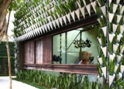 Новый тип облицовки здания живой зеленью