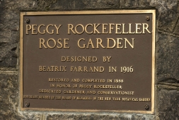 Розовый сад Пегги Рокфеллер