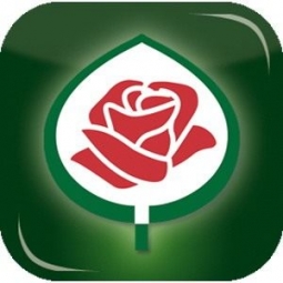 Знак ADR — гарантия качества розы