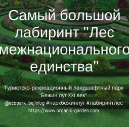 В России создадут самый большой лабиринт из растений
