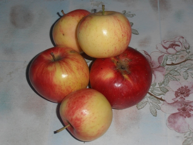 Определение сорта яблок