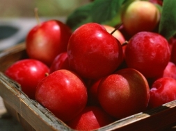 Как сохранить яблоки