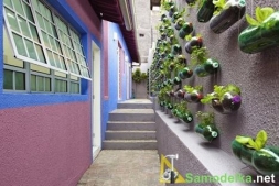 Как сделать вертикальный сад на стене из пластиковых бутылок