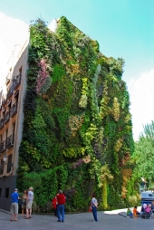 Внешнее и внутреннее озеленение зданий