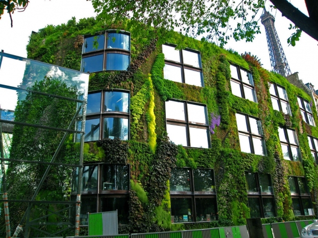 Внешнее и внутреннее озеленение зданий
