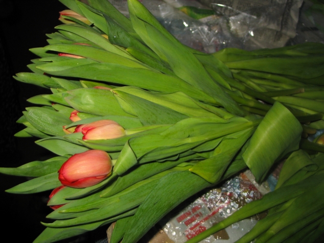Как сохранить тюльпаны купленные заранее. Во что обернуть лучше тюльпаны. Если купить тюльпаны заранее как их сохранить. Можно ли купить тюльпаны заранее за 1 день как лучше хранить.