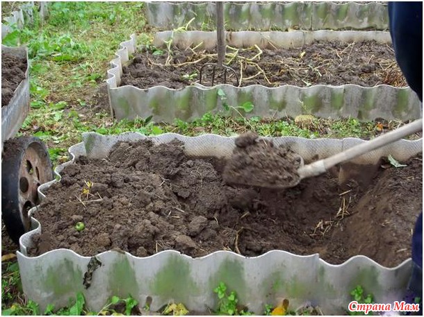 Как повысить плодородие почвы быстро и значительно!