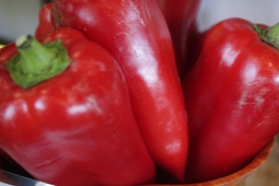 Заготовка своих семян - томаты, огурцы, перцы.
