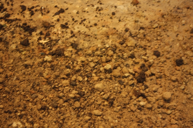 От земли к земле. Гуминовые кислоты помогут восстановить почву на участке