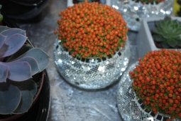 Зеркальные горшки для цветов