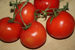 Как использовать ботву томатов: 5 способов на все случаи жизни