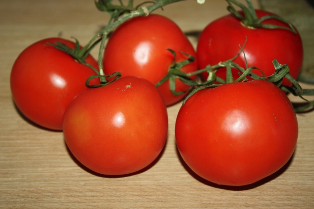 чем подкармливать томаты в теплице