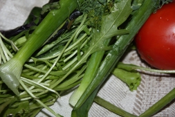 «Мистический» овощ в огороде или что можно сажать на место чеснока?