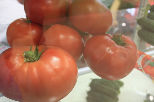 Деформация плодов: кто рисует мордочки на томатах