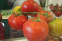 Деформация плодов: кто рисует мордочки на томатах
