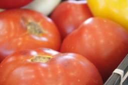 10 мифов о выращивании томатов
